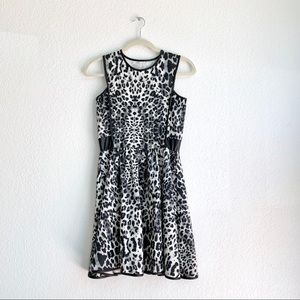 Nordstrom Women's Snow Leopard Skater Dress Sz S